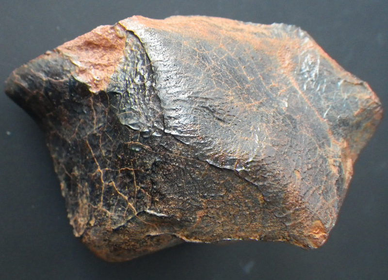 見る！?ミルビリリー隕石 標本 見る！?ミルビリリー隕石 標本