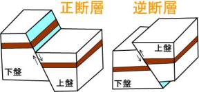濃尾地震と根尾谷断層帯: 内陸最大地震と断層の諸性質 | 村松 郁