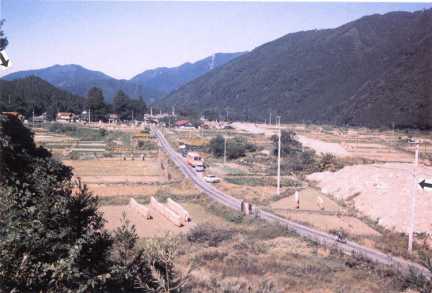 岡田1974