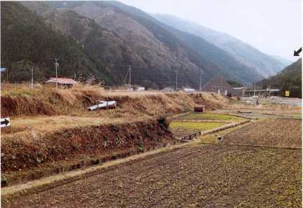 断層崖中央部 (岡田1992) 