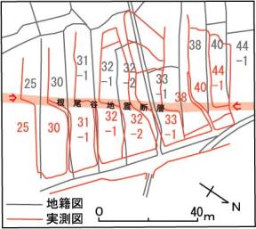 中の畑地地籍図 (比較) 