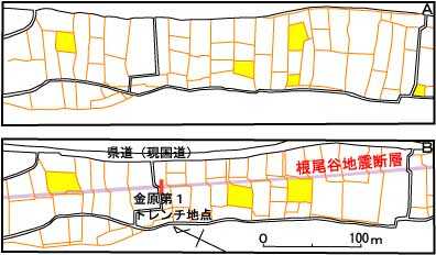 金原の地籍図