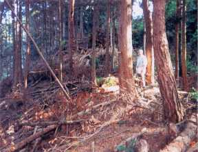 生原 / 水平ずれ尾根