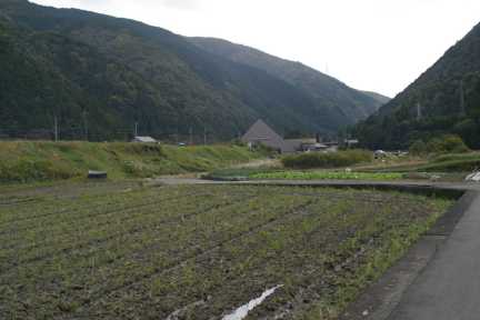 水鳥断層崖