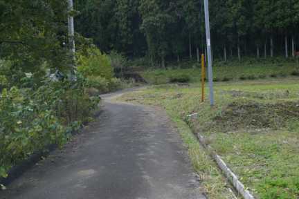 上金原道路屈曲