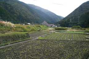 水鳥断層崖B