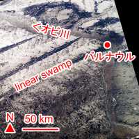 テキスト入り 衛星写真 オビ川(Obʾ River)、バルナウル(Barnaul)、linear swamp(s)