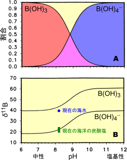 pHに対するB(OH)3とB(OH)4－の割合(A)と、ホウ素同位体分別(B)。