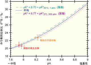 有孔虫のホウ素同位体比と海水のpHとの関係。