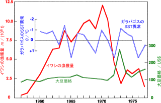 ガラパゴスのSST(海表温)異常、イワシの漁獲量、大豆価格の関係。