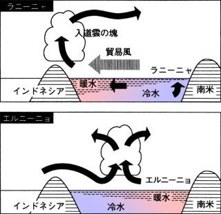 ビェルクネス仮説。上がラ・ニーニャ、下がエル・ニーニョ時の海水温垂直分布。