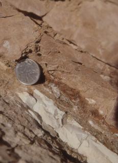 イタリア、グッビオの、白亜紀‐第三紀境界粘土層。