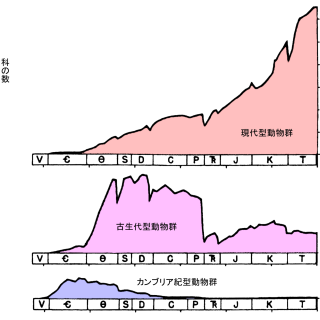 3つの動物群の多様性。