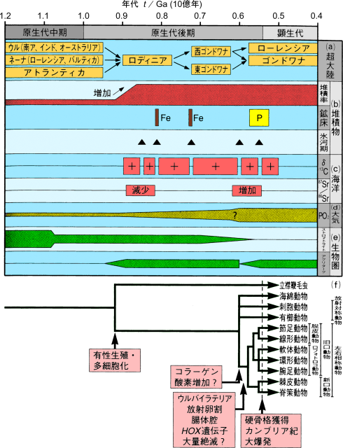 生物史と地球進化の対応。