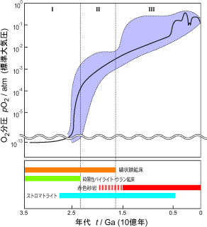 地球大気の酸素分圧の増加。