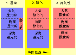 ウォーカーらの段階的進化モデル。Walker et al.  1983