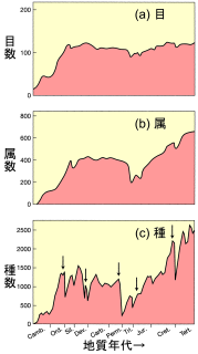 化石として残った、海棲無脊椎動物の放散。下矢印(↓)は、大量絶滅。Signor 1990(The Earth System p.220)