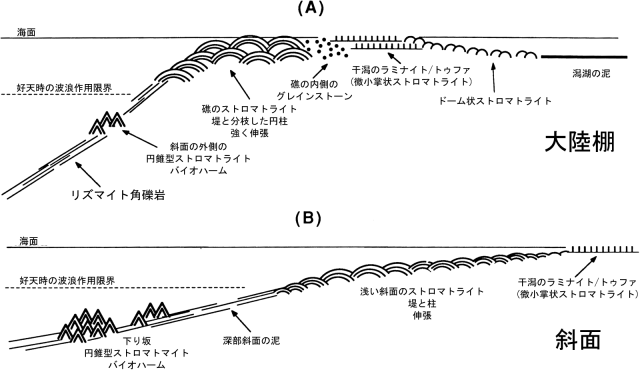 原生代、炭酸塩岩盤上の、ストロマトライトの分布。