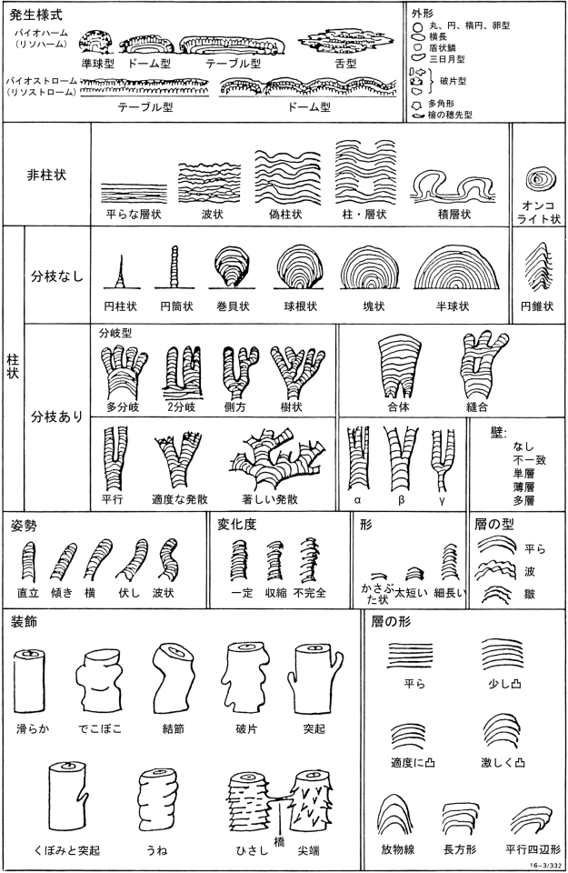 ストロマトライトの形態。