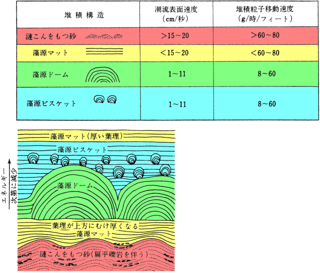 形態と潮流ならびに堆積粒子の移動速度の関係。