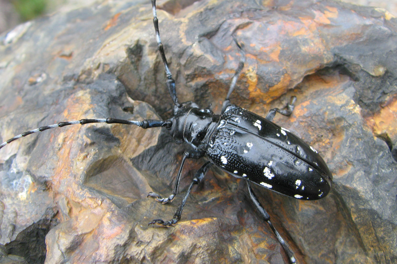 �S�}�_���J�~�L��