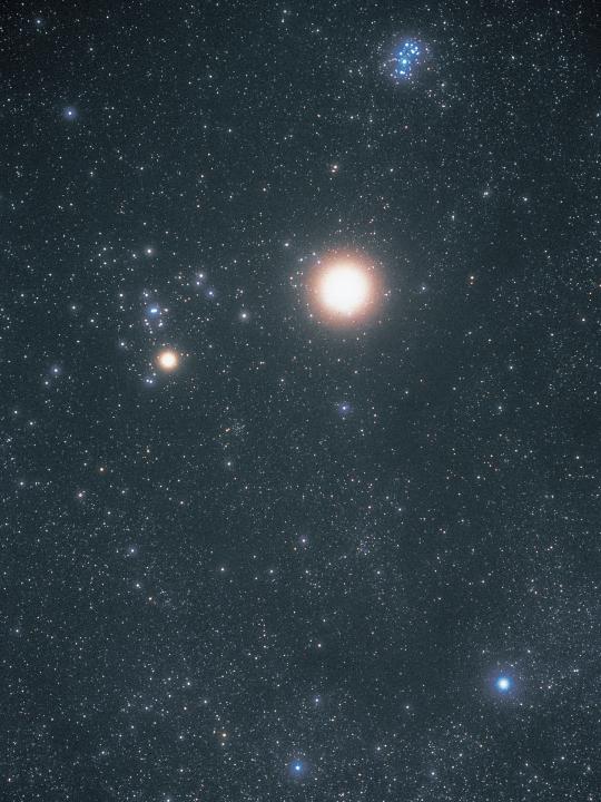 天文写真 Pleiades星団